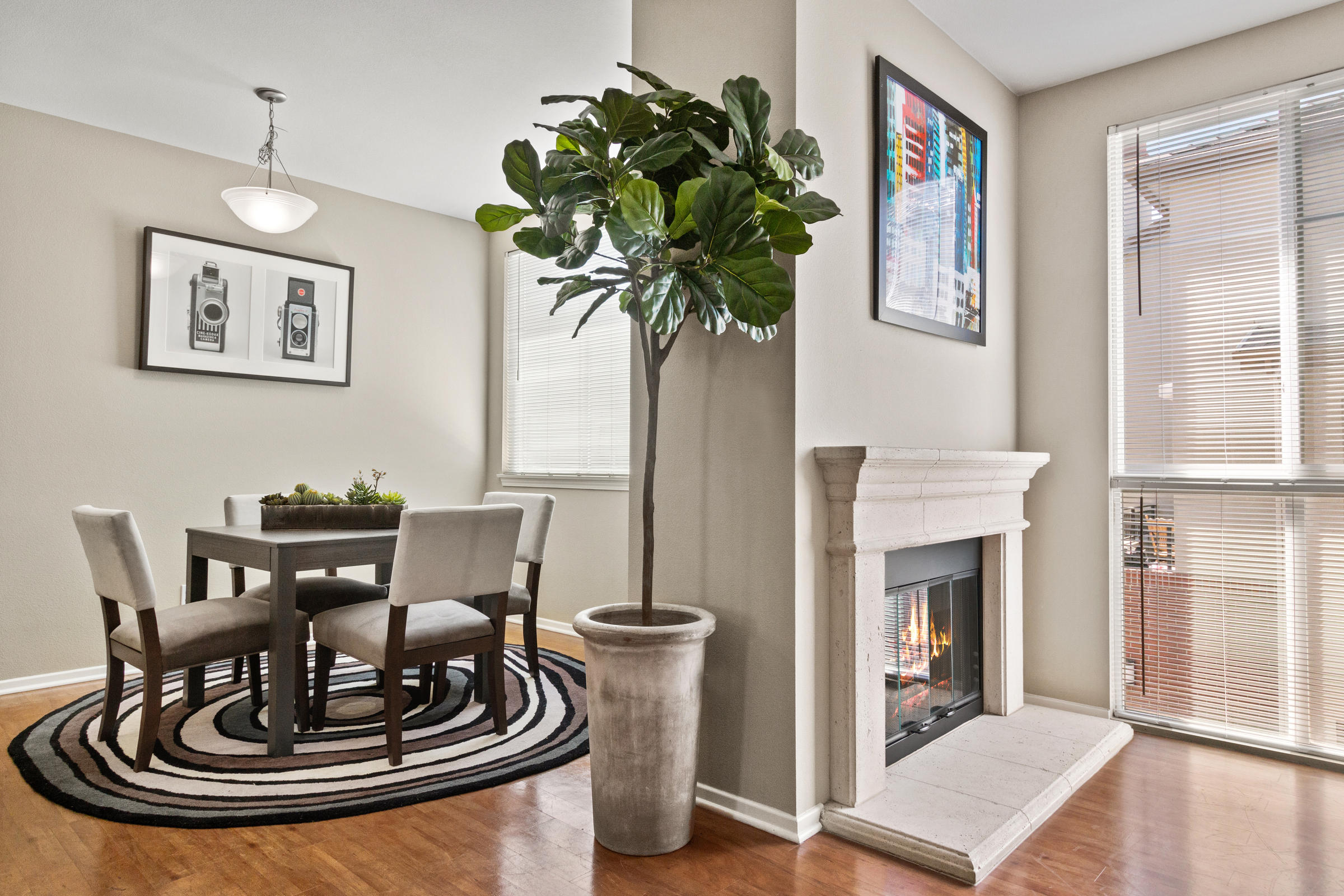 Modern dining area with a round rug, potted plant, and a cozy fireplace near large windows with blinds.